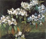 William Stott of Oldham White Rhododendrons oil painting